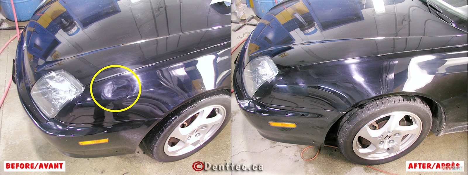 DentTec_05 Dent Front Fender
