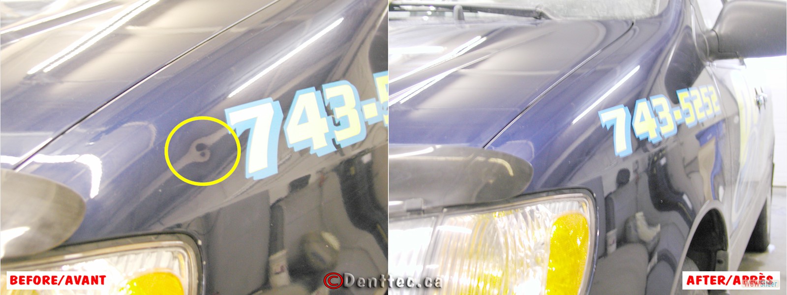 Paintless Dent Removal